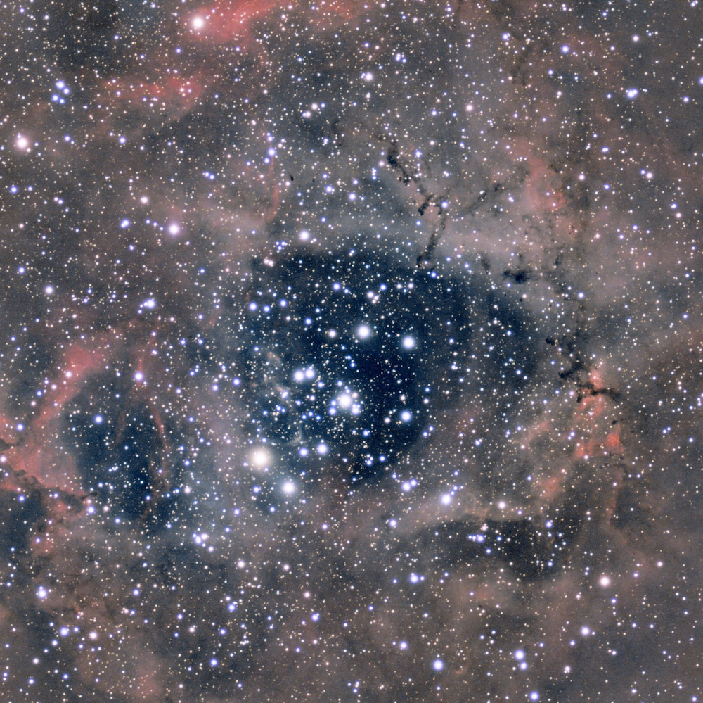 M31