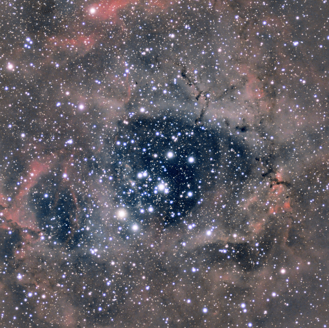 Full Resolution Image